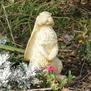 Rabbit with Long Ears 13 Outdoor/Indoor Statue - Bella Statues