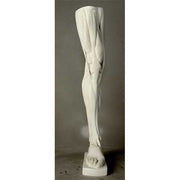 Anatomical Leg Outdoor/Indoor Statue - Bella Statues