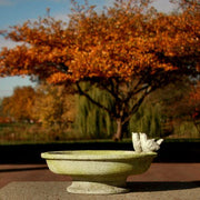 Finch Bird Bath 6in Outdoor/Indoor Statue - Bella Statues