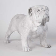 Bulldog 17 Outdoor/Indoor Statue - Bella Statues