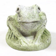 Hypno Frog Outdoor/Indoor Statue - Bella Statues