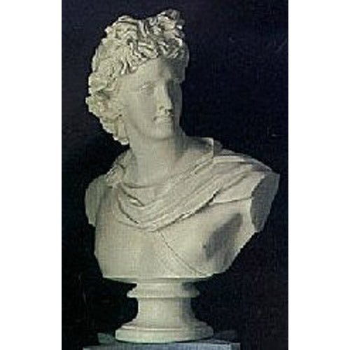 Apollo Belvedere 31 Outdoor/Indoor Statue - Bella Statues