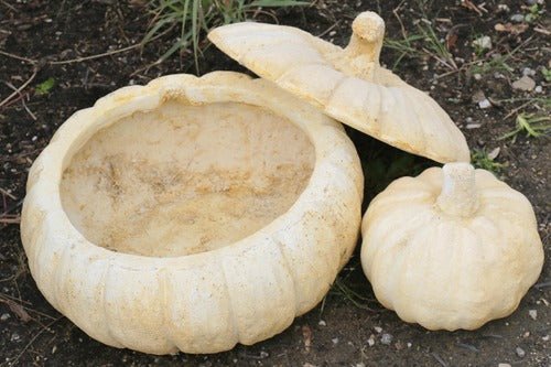 Wide Pumpkin Planter Outdoor/Indoor Statue - Bella Statues