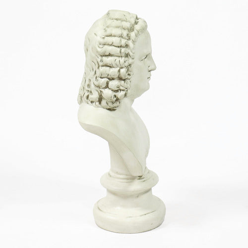 Classical European bust with ornate, curly hair in old world style, displayed on a pedestal with Renaissance-inspired detailing. Side Angle