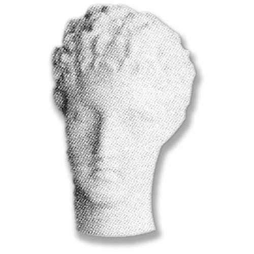 Classical Greek-style sculpted head with detailed curls and serene facial expression, evoking ancient European artistry.