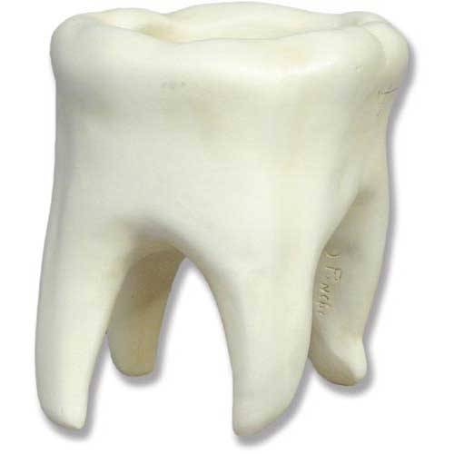 Tooth-shaped sculpture with smooth, rounded contours and stylized, minimalist design reminiscent of classical forms.