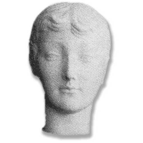Classical Greek-style sculpted head with serene expression and softly detailed, symmetrical features, evoking ancient European artistry.