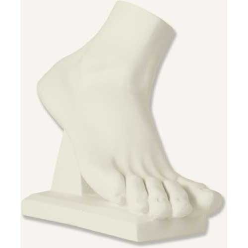 Classical Greek-style sculpted foot with detailed toes and arch, displayed on a rectangular base in an old world European aesthetic.