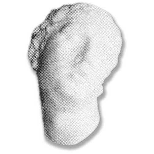 Classical Greek-style sculpted head with soft, weathered features and an ancient, timeworn appearance.