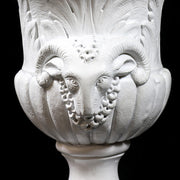 Ornate classical urn with Baroque detailing, acanthus leaf motifs, and ram head accents on a pedestal base. Side Angle