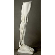 Classical anatomical leg sculpture with exposed muscles, inspired by Renaissance and old world European artistic traditions. Side View