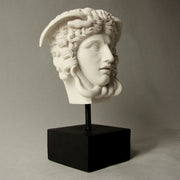 Medusa head sculpture with classical Greek and ornate Baroque details, featuring serpentine hair and dramatic facial expression. Side Angle