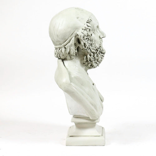 Classical Greek-style bust sculpture with ornate hair detail, shown from the back on a square pedestal base. Side Angle
