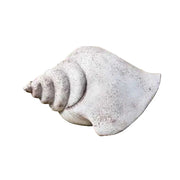 Conch shell sculpture with ornate, old world European detailing and classical, weathered finish in a Renaissance-inspired style.