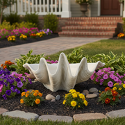 Giant clam shell with ornate, undulating ridges, evoking old world European and classical decorative style. Side Angle