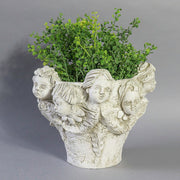 Ornate Baroque-style planter featuring sculpted cherub faces and classical old world European detailing around the rim. Different Angle