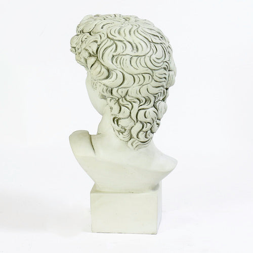 Classical Renaissance bust of a young man with curly hair, detailed facial features, and an ornate, sculpted base. Side Angle