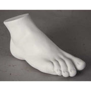 Classical Greek-style sculpted foot with smooth, detailed contours and realistic anatomical features. Side Angle