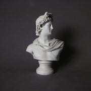 Classical Greek-style bust with ornate drapery and detailed hair, featuring a serene, idealized facial expression. Other Angle