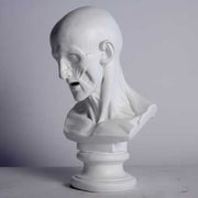 Classical anatomical bust with detailed facial muscles, old world European style, reminiscent of Renaissance and Greek sculpture. Side Angle