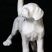Dog statue with raised tail, classical European style, featuring smooth lines and subtle ornate detailing, reminiscent of Renaissance art. Other Angle