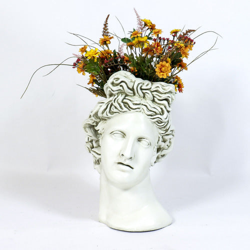 Apollo Head Planter Bust Display Decor (17-Inch)