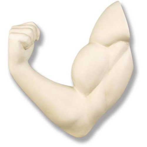 Classical Greek-style sculpted arm flexing with defined muscles, featuring smooth, ornate contours and bold anatomical detail.