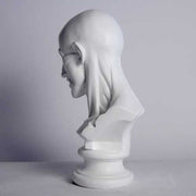 Classical anatomical bust with detailed facial muscles, old world European style, reminiscent of Renaissance and Greek sculpture. Different Angle