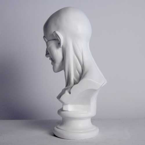 Classical anatomical bust with detailed facial muscles, old world European style, reminiscent of Renaissance and Greek sculpture. Different Angle