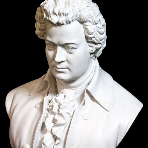 Classical European bust with ornate ruffled shirt and curled hair, inspired by Renaissance and Baroque sculptural styles. Side Angle