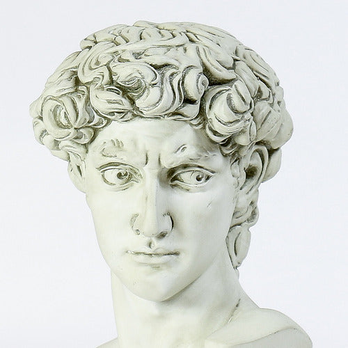 David Bust Medium Bust Display Decor (17-Inch)