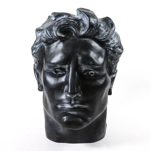 Classical Greco-Roman style male bust with strong features and wavy hair, evoking Renaissance and old world European artistry. Side View