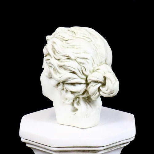 Garden Lady Head Outdoor/Indoor Statue - Bella Statues