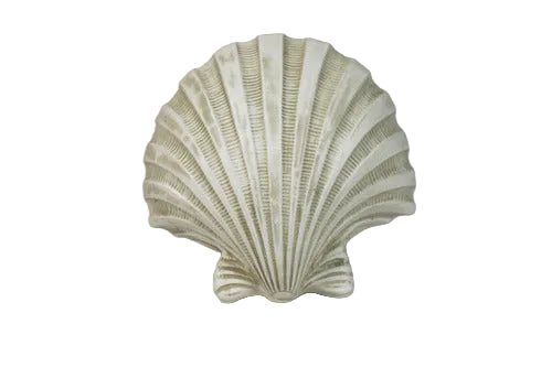 Scallop shell with ornate, old world European detailing and classical ribbed design, evoking Renaissance and Baroque elegance. Side View