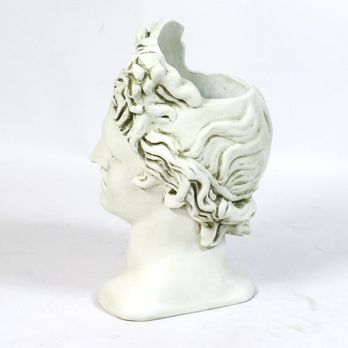 Apollo Head Planter Bust Display Decor (17-Inch)