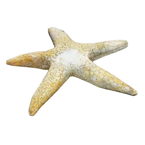 Starfish Garden Statue (30 - Inch) - Bella Statues