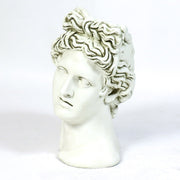 Classical Greek-style bust with ornate, wavy hair and serene expression, inspired by Renaissance and old world European sculpture. Additional Angle