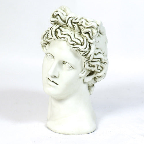 Classical Greek-style bust with ornate, wavy hair and serene expression, inspired by Renaissance and old world European sculpture. Additional Angle