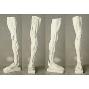 Classical anatomical leg sculpture with exposed muscles, inspired by Renaissance and old world European artistic traditions. Other Angle