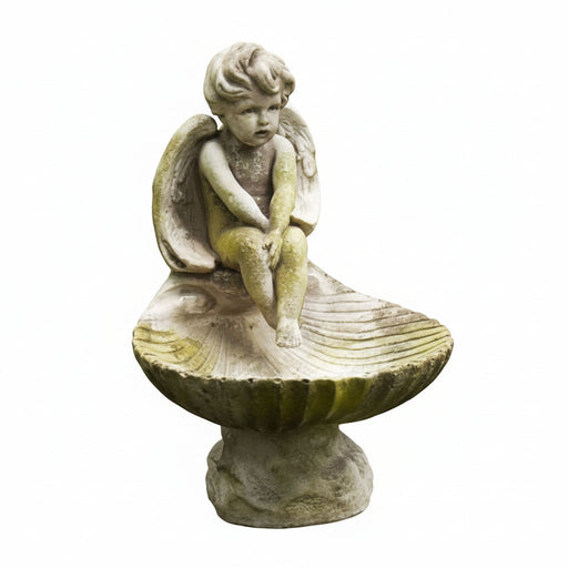Cherub statue seated on an ornate shell-shaped pedestal, featuring classical old world European and Baroque detailing.