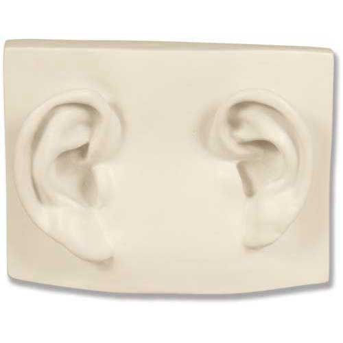 Classical relief sculpture featuring two ornate, old world European style ears on a rectangular plaque with subtle Renaissance influence.
