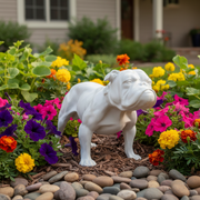 Bulldog statue with classical, old world European style and ornate detailing, featuring strong stance and sculpted facial features. Side Angle