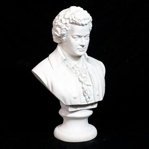 Classical European bust with ornate ruffled shirt and curled hair, inspired by Renaissance and Baroque sculptural styles. Different Angle