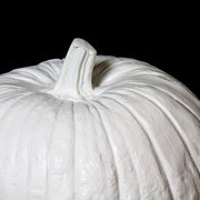 Pumpkin with classical sculptural detailing and ornate ridges, inspired by old world European and Renaissance aesthetics. Side View