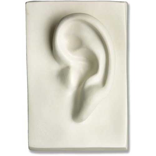 Classical sculpted ear relief in old world European style, featuring detailed contours on a rectangular plaque with Renaissance influence