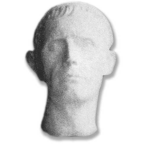 Classical Greco-Roman style bust with realistic facial features and short hair, evoking ancient European sculpture.