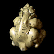 Grotesque gargoyle statue with exaggerated features, hunched posture, and ornate medieval European style detailing. Side Angle
