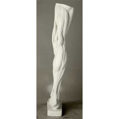 Anatomical Leg Garden Statue (32-Inch)