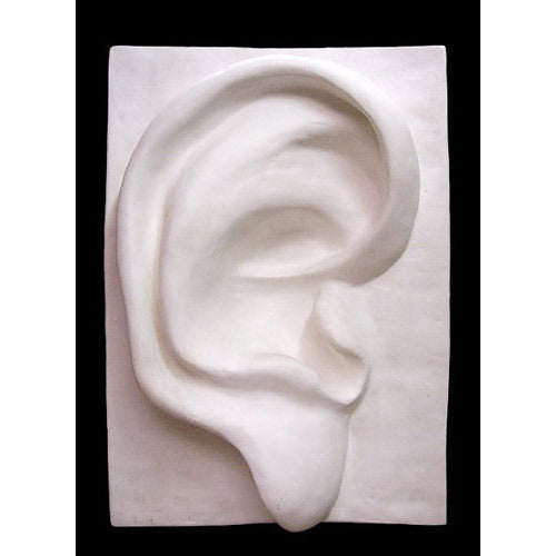Classical sculpted ear relief with Renaissance-inspired contours and detailed anatomical features on a rectangular plaque.