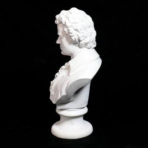 Mozart Bust Medium Bust Display Decor (17-Inch)
